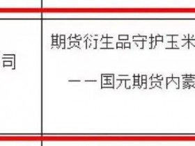 喜报!国元期货通辽营业部“服务内蒙古玉米产业案例”入围2023年度期货经营机构服务实体经济优秀案例
